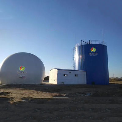 Biodigester Bio Gas Power Plant การผลิตก๊าซชีวภาพจากมูลโค