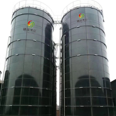โครงการเครื่องย่อยก๊าซชีวภาพแบบไม่ใช้ออกซิเจน CSTR ในประเทศจีน
