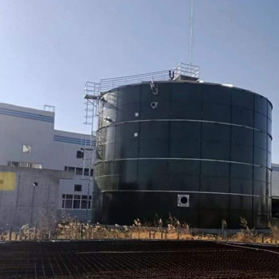 EGSB เครื่องปฏิกรณ์แบบฟิล์มไร้อากาศอัตราสูง Anaerobic Fixed Film Reactor ประหยัด